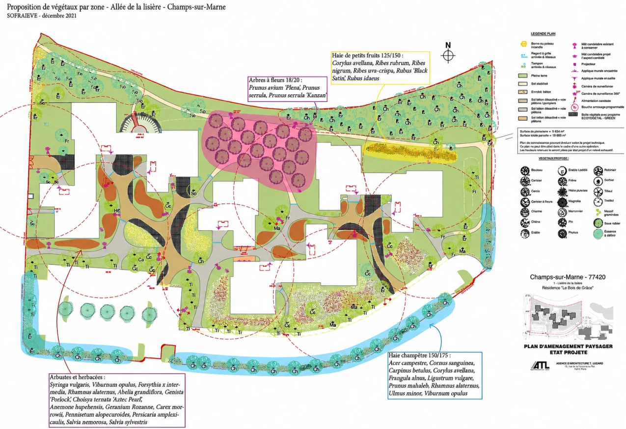 Végétalisation d’une résidence d’habitat social à Champs-sur-Marne (77) (5)