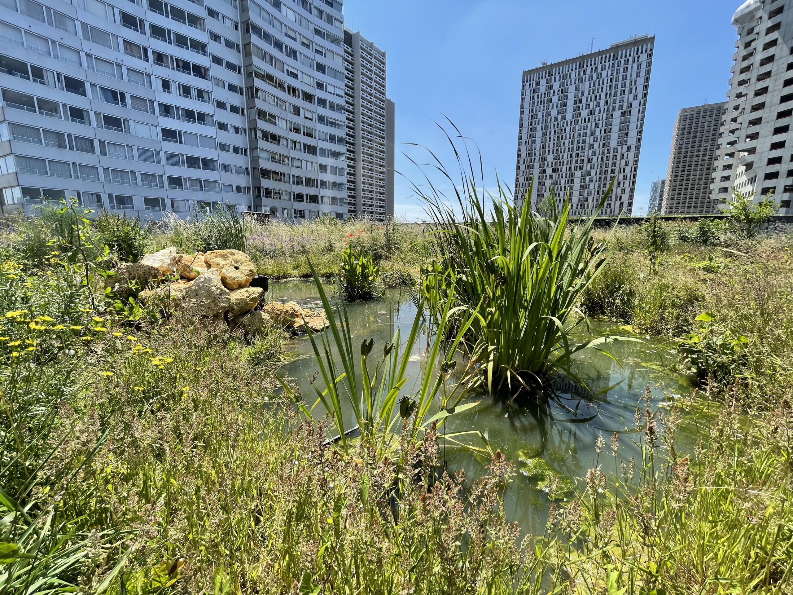 Gestion d’un toit-terrasse et des façades végétalisées d’un centre commercial (75)