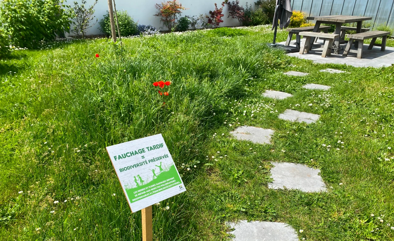 Végétalisation et entretien d’une zone d’activité à Bagneux (92) (5)