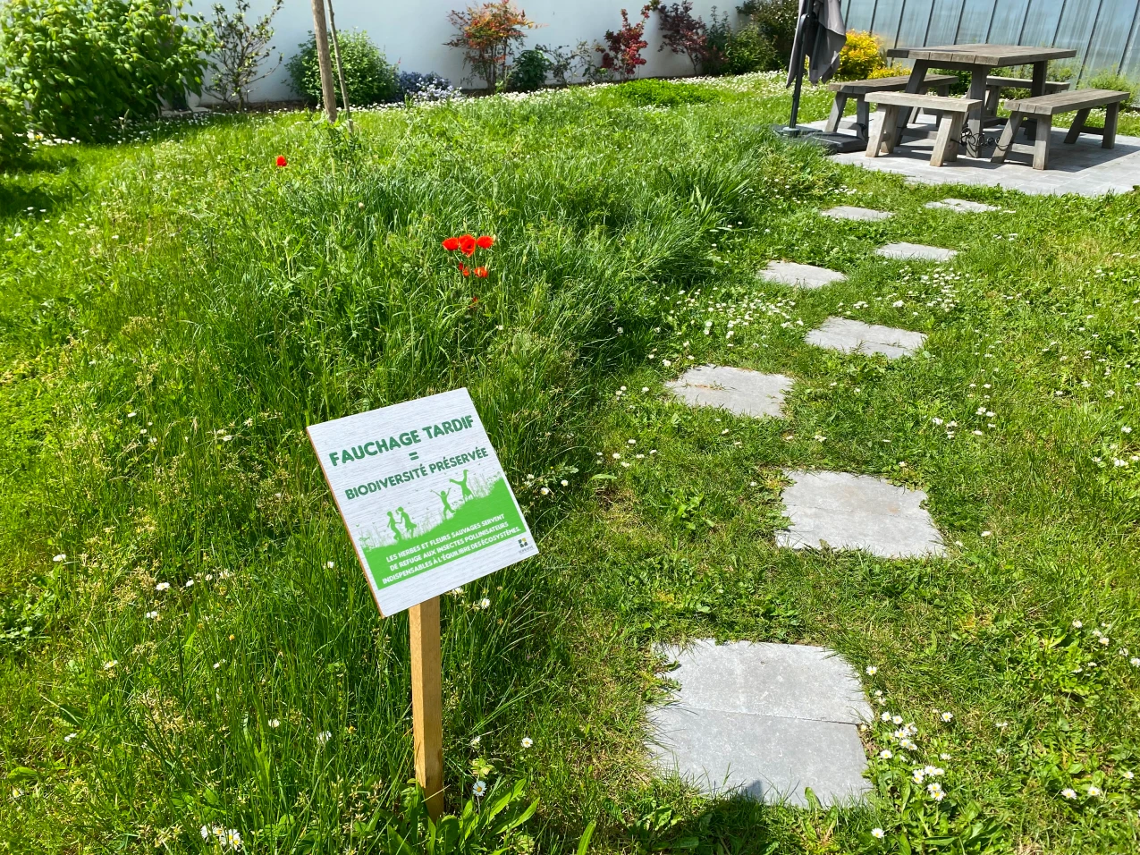 Végétalisation et entretien d’une zone d’activité à Bagneux (92) (5)