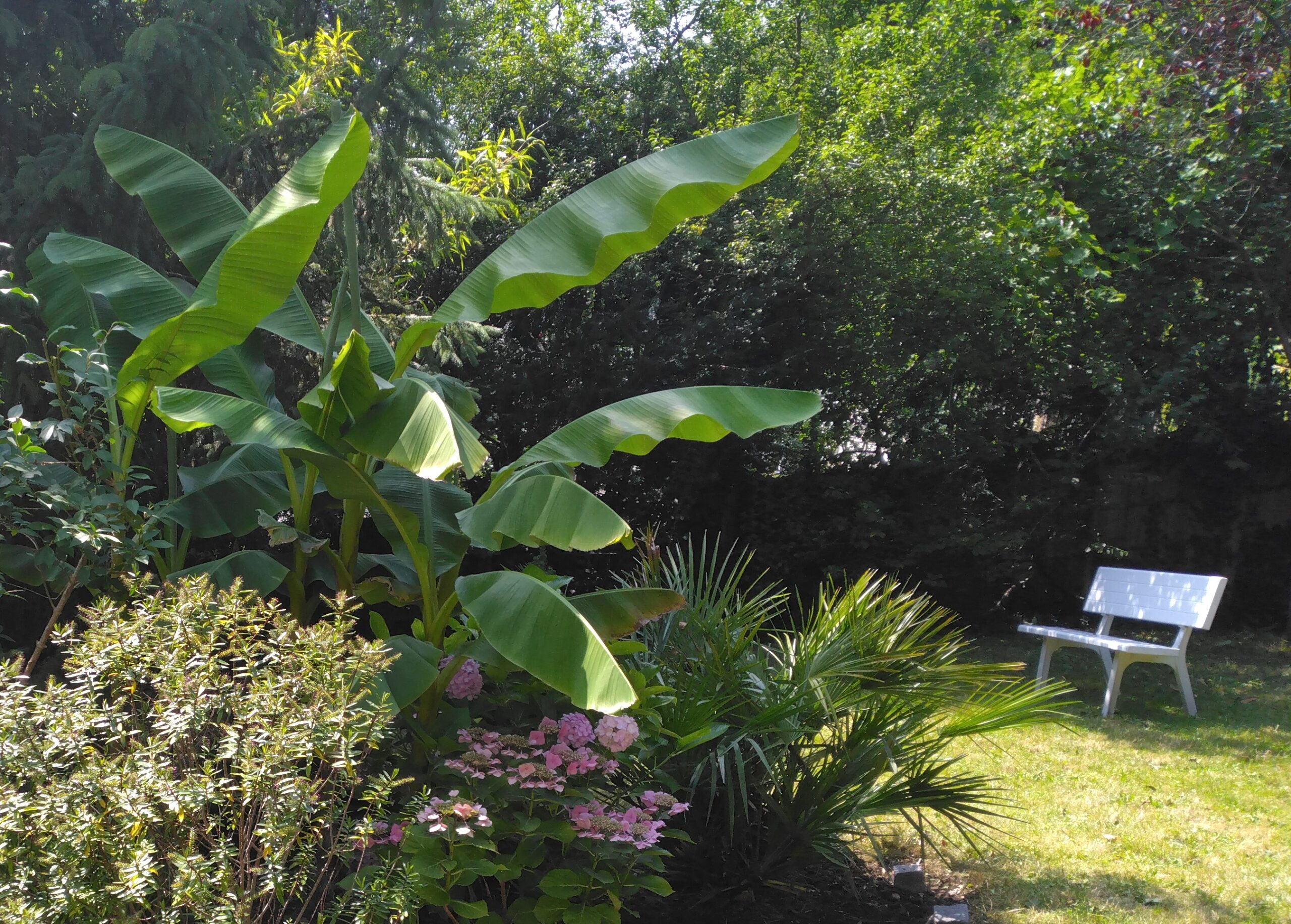 Entretien et aménagement du jardin d’une villa à Garches (92)