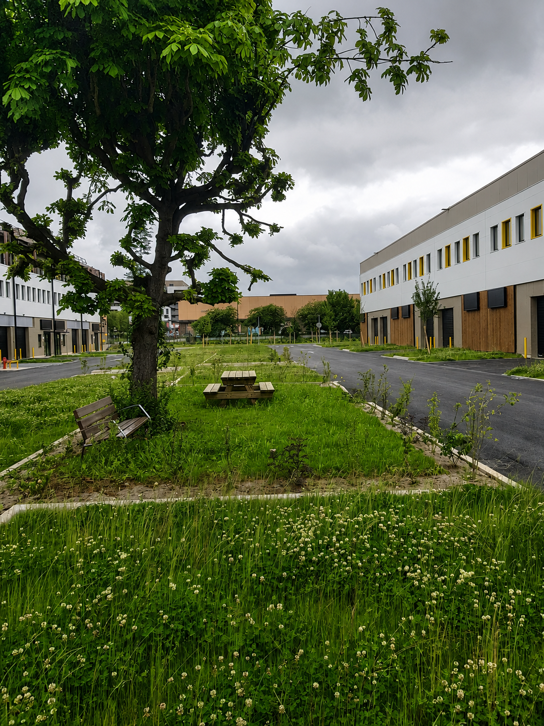 Végétalisation d’une zone d’activité, labellisée Ecojardin (94)