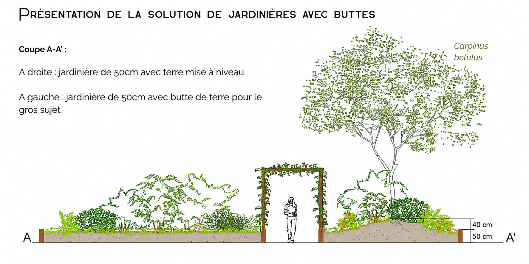 Etude de végétalisation d’une dalle bétonnée d’une copropriété  Montigny-Lès-Cormeilles (95)