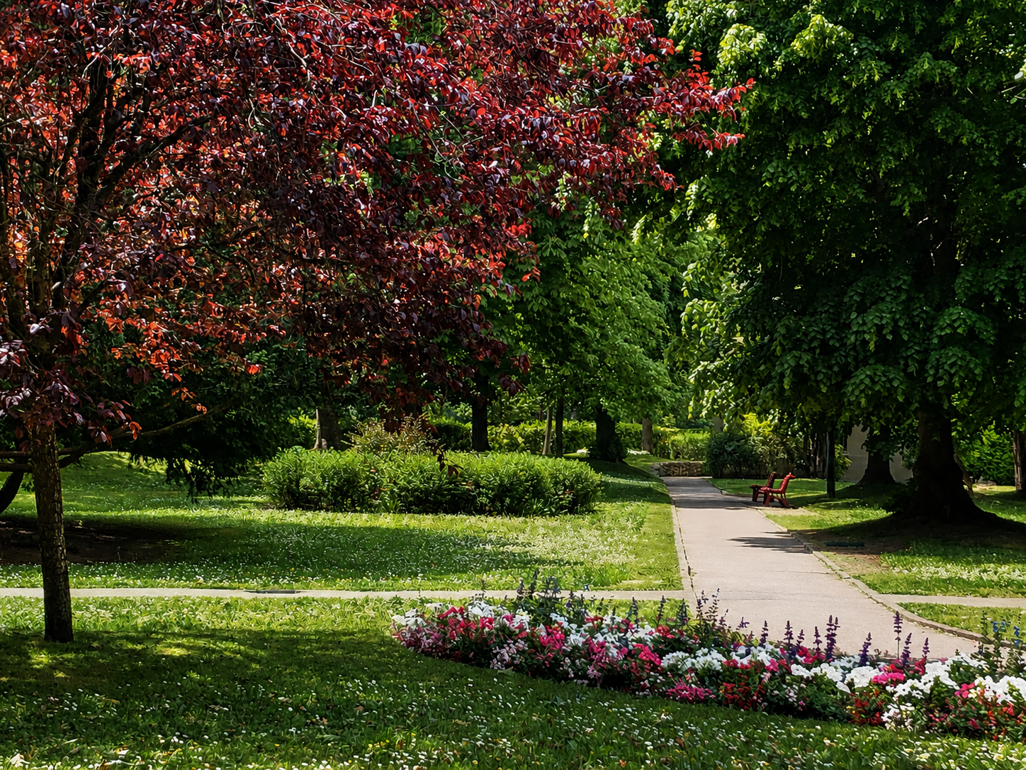 Entretien et aménagement du parc d’un ensemble immobilier de standing à Neuilly (92) (3)