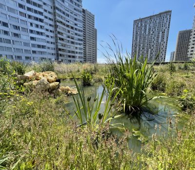 Gestion d’un toit-terrasse et des façades végétalisées d’un centre commercial (75)