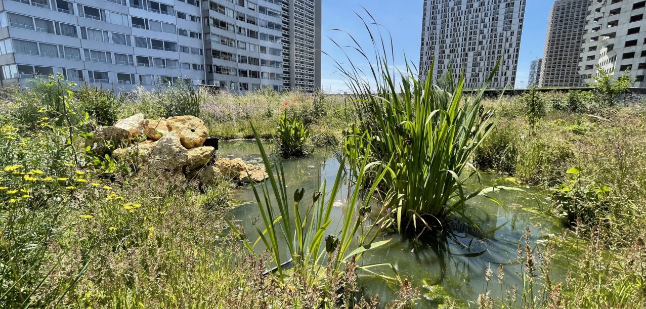 Gestion d’un toit-terrasse et des façades végétalisées d’un centre commercial (75)