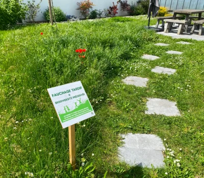 Végétalisation et entretien d’une zone d’activité à Bagneux (92) (5)
