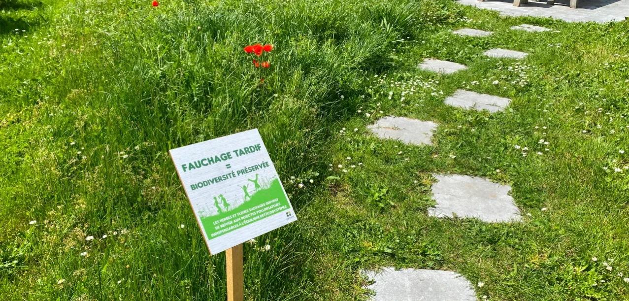 Végétalisation et entretien d’une zone d’activité à Bagneux (92) (5)