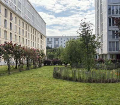Gestion différenciée au sein d’un ensemble immobilier emblématique de l’architecte Fernand Pouillon à Montrouge