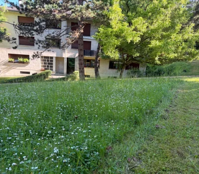Gestion différenciée d’un parc de 45 ha d’une résidence privée (91) (5)