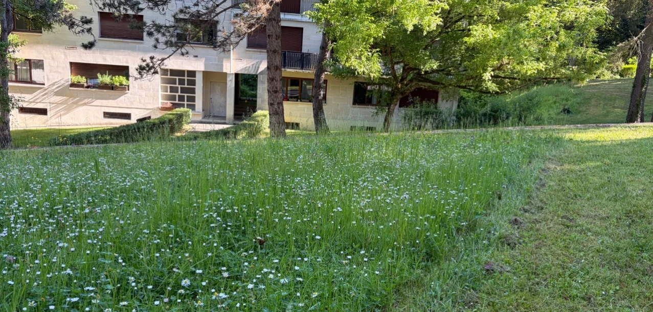 Gestion différenciée d’un parc de 45 ha d’une résidence privée (91) (5)