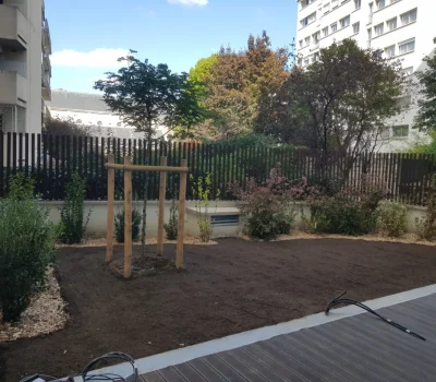 Aménagement d’un jardin difficile d’accès en arrière-cour, pour un programme immobilier neuf (75) (3)