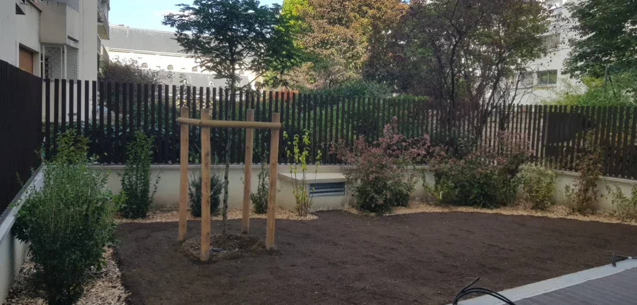 Aménagement d’un jardin difficile d’accès en arrière-cour, pour un programme immobilier neuf (75) (3)