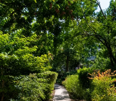 Entretien du parc intérieur d’une grande copropriété dans le 15e arrondissement de Paris (5)