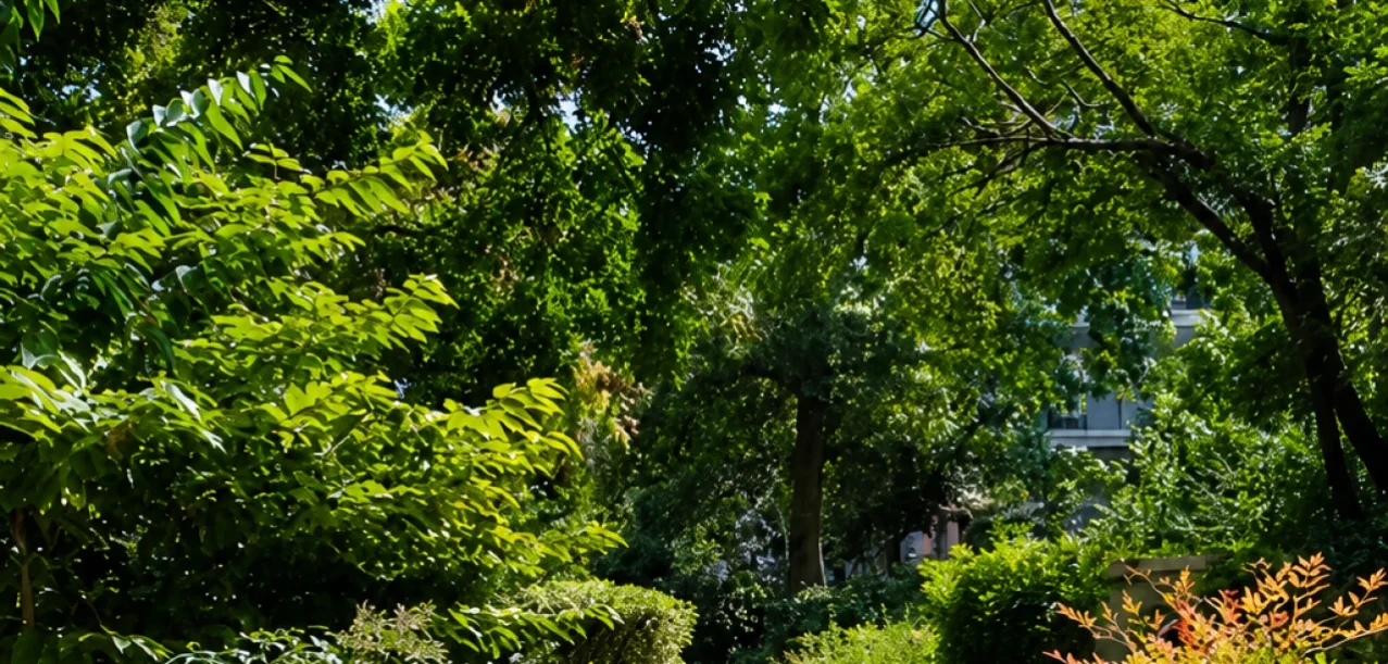 Entretien du parc intérieur d’une grande copropriété dans le 15e arrondissement de Paris (5)
