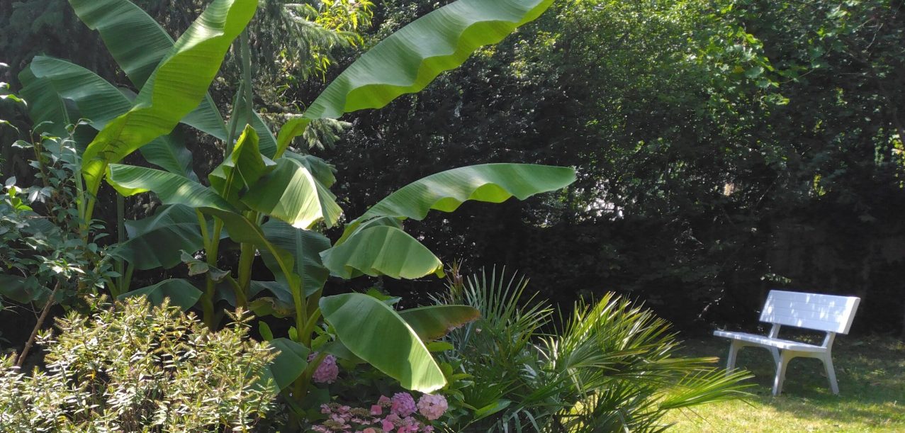 Entretien et aménagement du jardin d’une villa à Garches (92)
