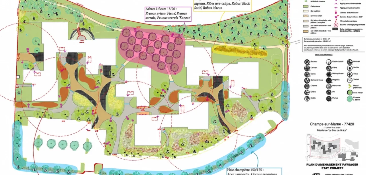 Végétalisation d’une résidence d’habitat social à Champs-sur-Marne (77) (5)