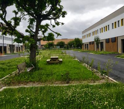 Végétalisation d’une zone d’activité, labellisée Ecojardin (94)
