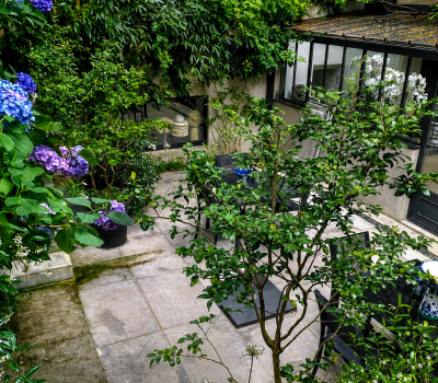 Entretien et aménagement du jardin d’une villa à Garches (92) (2)