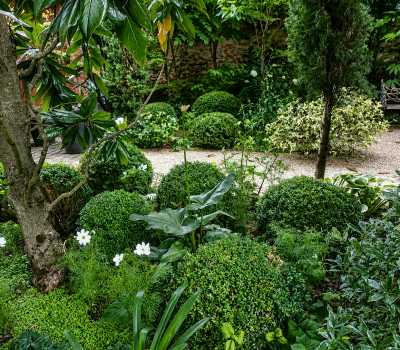 Entretien et aménagement du jardin d’une villa à Garches (92) (4)