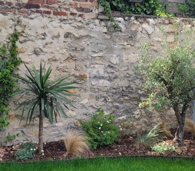 Conception et réalisation des terrasses et jardins d’une maison à Issy-les-Moulineaux (92) (2)