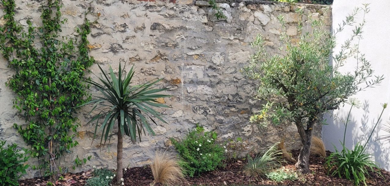Conception et réalisation des terrasses et jardins d’une maison à Issy-les-Moulineaux (92) (2)