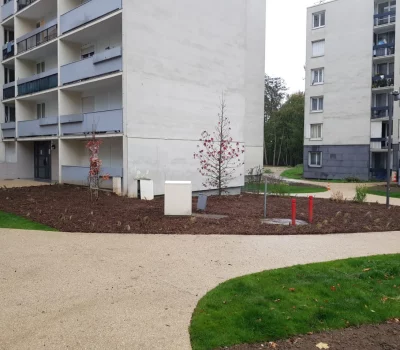 Végétalisation d’une résidence d’habitat social à Champs-sur-Marne (77) (4)
