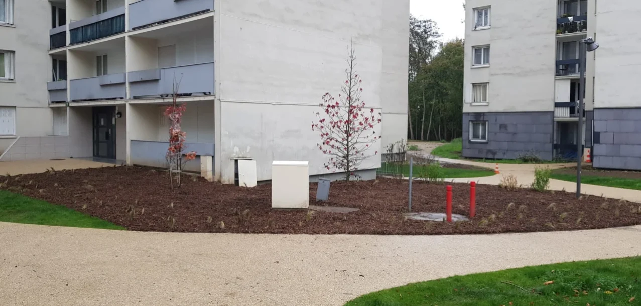 Végétalisation d’une résidence d’habitat social à Champs-sur-Marne (77) (4)