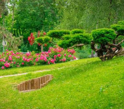 Entretien du parc d’une copropriété à Brunoy et Épinay-sous-Sénart (91) (1)