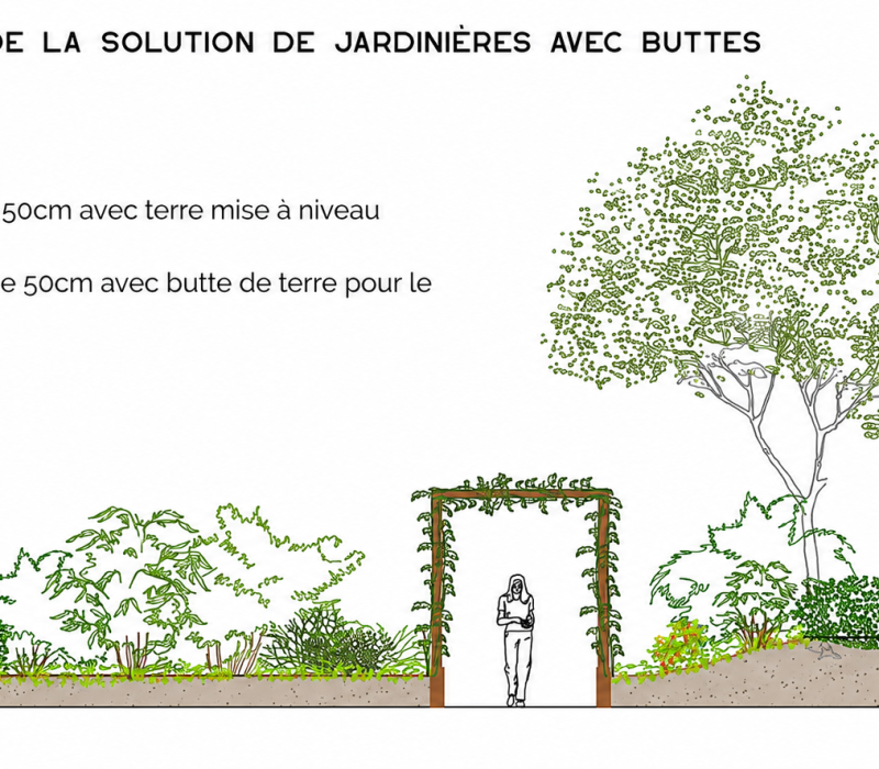 Etude de végétalisation d’une dalle bétonnée d’une copropriété  Montigny-Lès-Cormeilles (95)