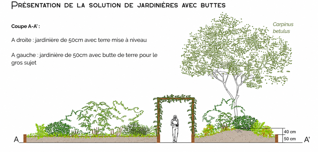 Etude de végétalisation d’une dalle bétonnée d’une copropriété  Montigny-Lès-Cormeilles (95)