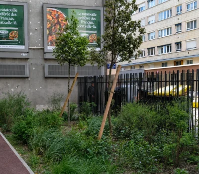 Désimperméabilisation et végétalisation des espaces extérieurs  d’une résidence à Paris (75) (2)