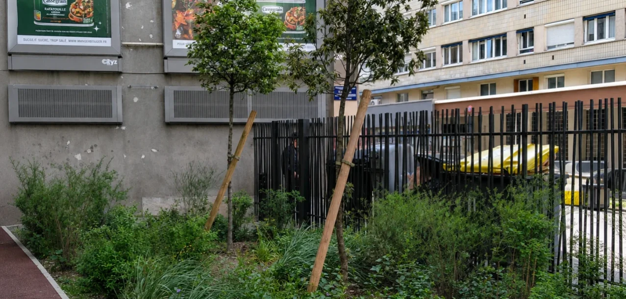 Désimperméabilisation et végétalisation des espaces extérieurs  d’une résidence à Paris (75) (2)