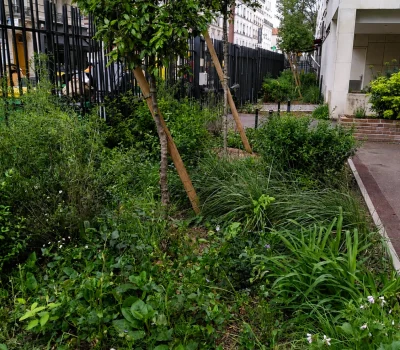 Désimperméabilisation et végétalisation des espaces extérieurs  d’une résidence à Paris (75) (3)