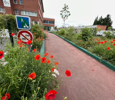 Végétalisation et entretien d’une zone d’activité à Bagneux (92) (4)