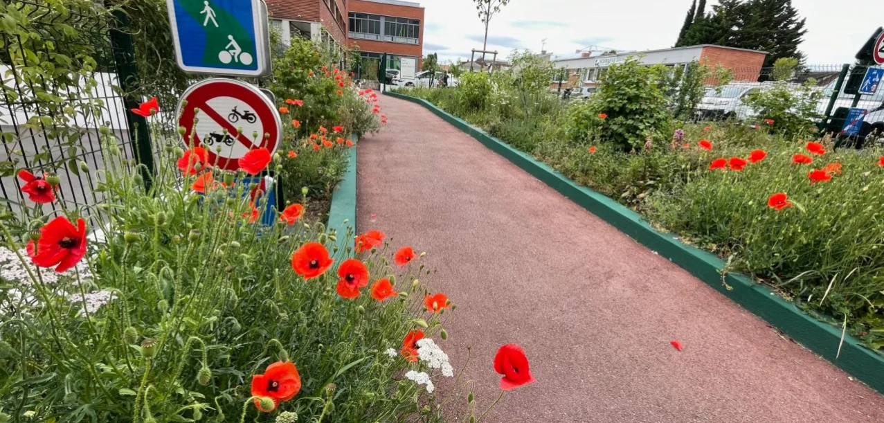 Végétalisation et entretien d’une zone d’activité à Bagneux (92) (4)