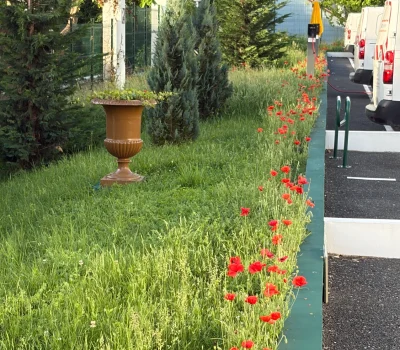 Végétalisation et entretien d’une zone d’activité à Bagneux (92) (3)