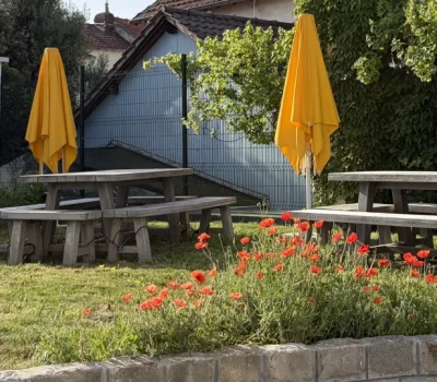 Végétalisation et entretien d’une zone d’activité à Bagneux (92) (1)