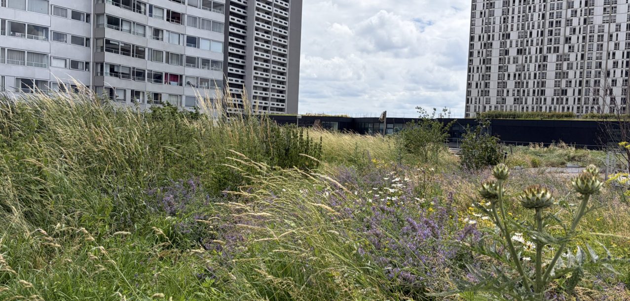 Gestion d’un toit-terrasse et des façades végétalisées d’un centre commercial (75) (2)