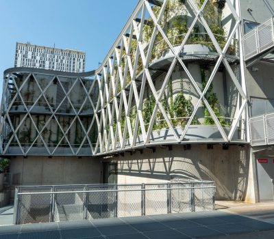 Gestion d’un toit-terrasse et des façades végétalisées d’un centre commercial (75) (5)