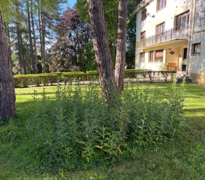 Gestion différenciée d’un parc de 45 ha d’une résidence privée (91) (2)