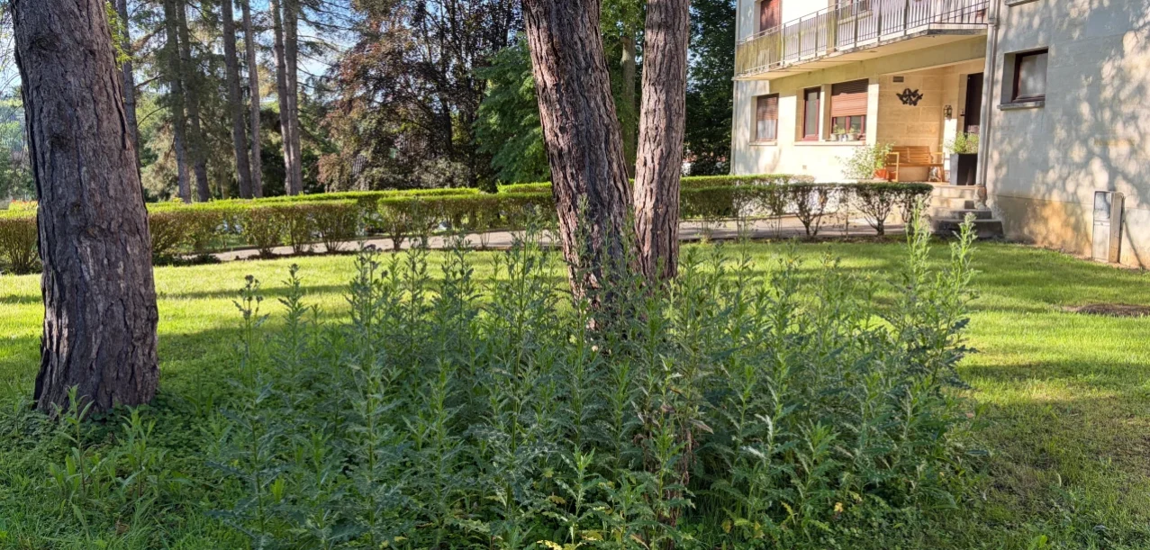 Gestion différenciée d’un parc de 45 ha d’une résidence privée (91) (2)