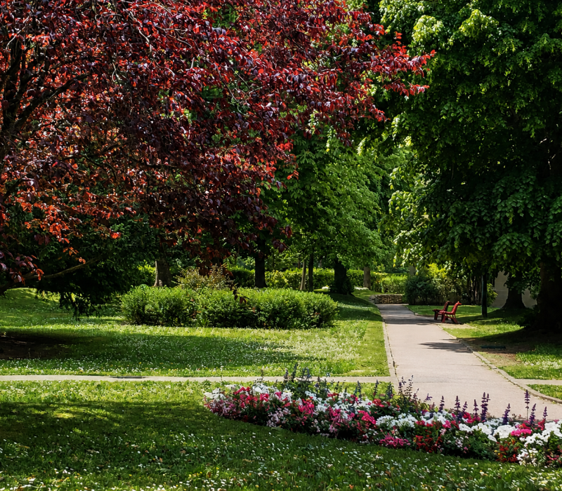 Entretien et aménagement du parc d’un ensemble immobilier de standing à Neuilly (92) (3)