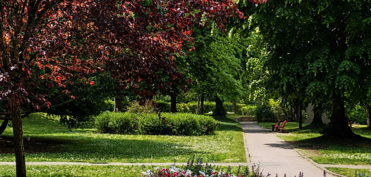 Entretien et aménagement du parc d’un ensemble immobilier de standing à Neuilly (92) (3)