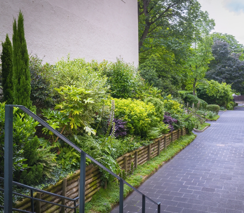 Entretien des jardins d’une résidence de standing à Paris (75016) (3)