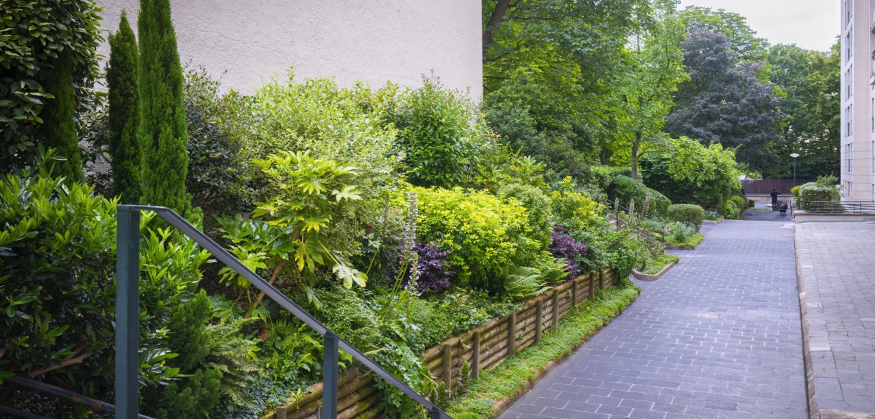 Entretien des jardins d’une résidence de standing à Paris (75016) (3)