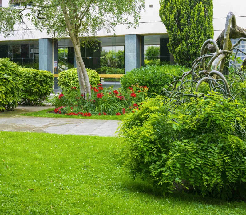 Entretien des jardins d’une résidence de standing à Paris (75016) (4)
