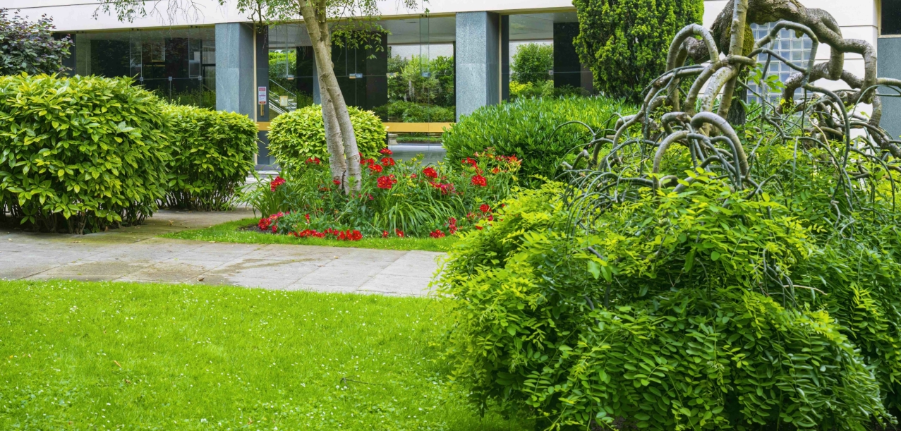 Entretien des jardins d’une résidence de standing à Paris (75016) (4)