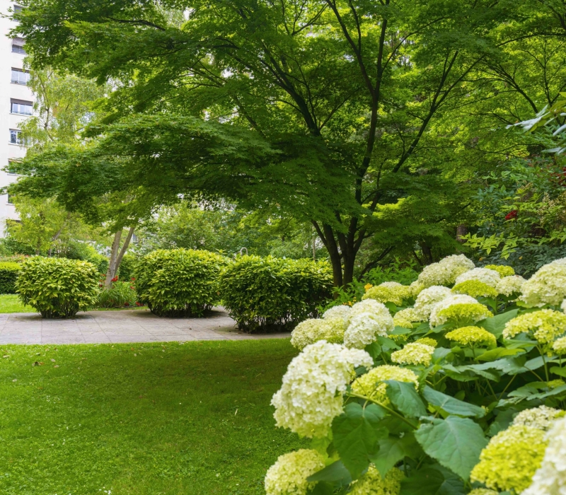 Entretien des jardins d’une résidence de standing à Paris (75016) (5)