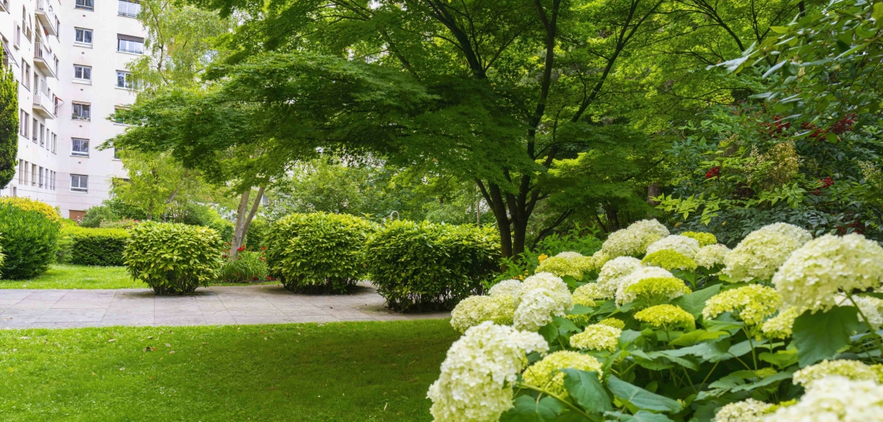 Entretien des jardins d’une résidence de standing à Paris (75016) (5)
